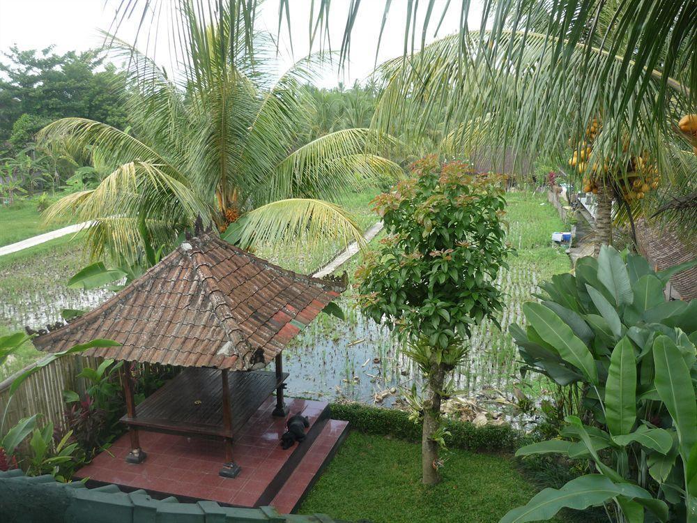 Kudos Guesthouse Ubud Extérieur photo